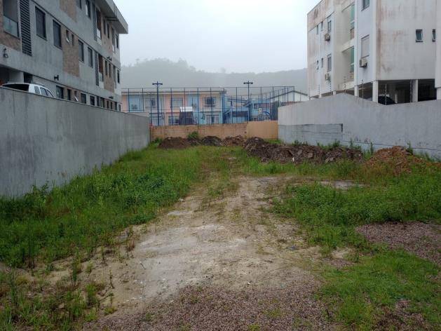 Lote em Florianópolis, Ingleses, Avenida Lions Internacional, S/N, SC. Área: 0m2