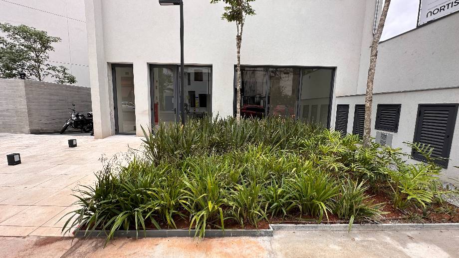 Loja em São Paulo, Cerqueira Cesar, Alameda Franca, 1.033, SP. Área: 610m2