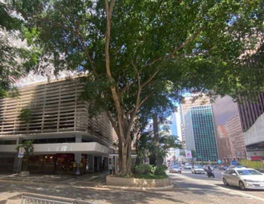 Sala comercial em São Paulo, Bela Vista, Avenida Paulista, 2073, SP. Área: 347m2