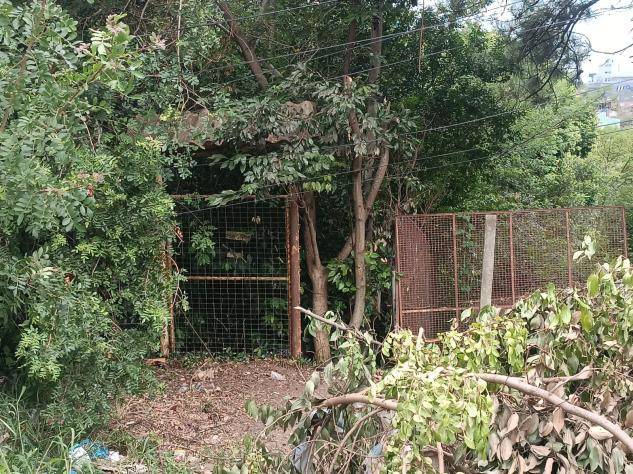 Lote em Viamão, Sao Lucas, Rua Antonio Vivaldi, 355, RS. Área: 0m2