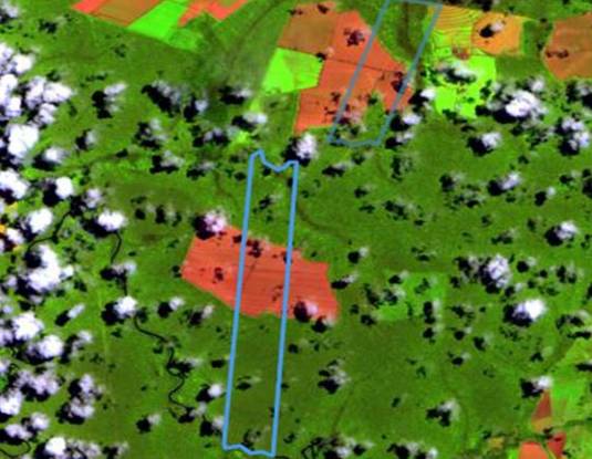 Lote em Nova Maringá, Nova Maringá, Gleba Selva Denominada Fazenda Primavera Vii, 0, MT. Área: 0m2