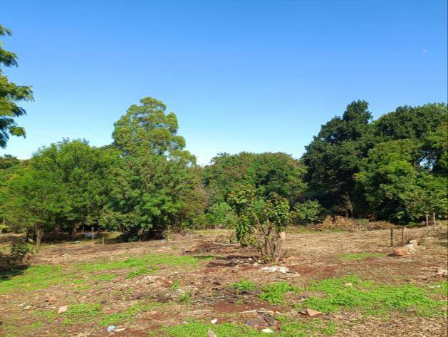 Lote em Paiçandu, Jardim Santa Luzia Iii, Loteamento Jardim Santa Luzia Iii, S/N, PR. Área: 0m2